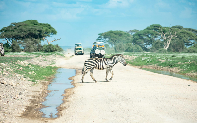 5 Days Amboseli, Tsavo West And Tsavo East