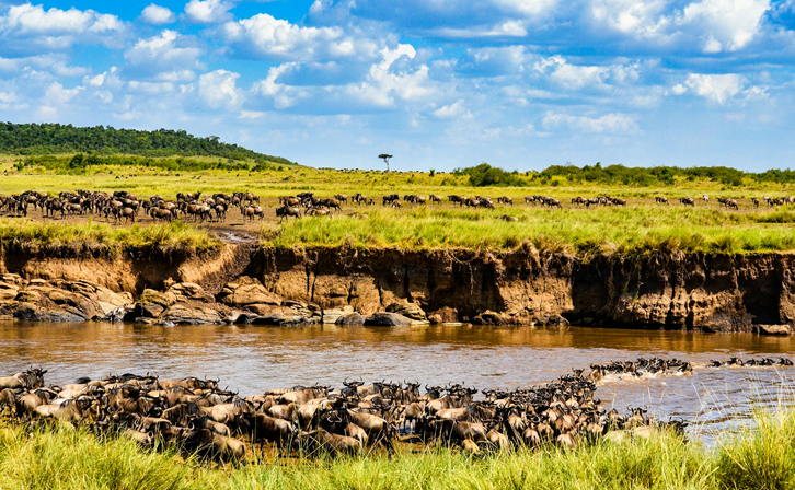 7 Days Masai Mara, Lake Nakuru, Amboseli, Tsavo East and west