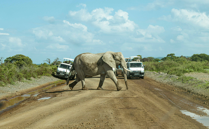 9 Days Amboseli, Lake Nakuru, Lake Bogoria, Masai Mara and Lake Naivasha Safari